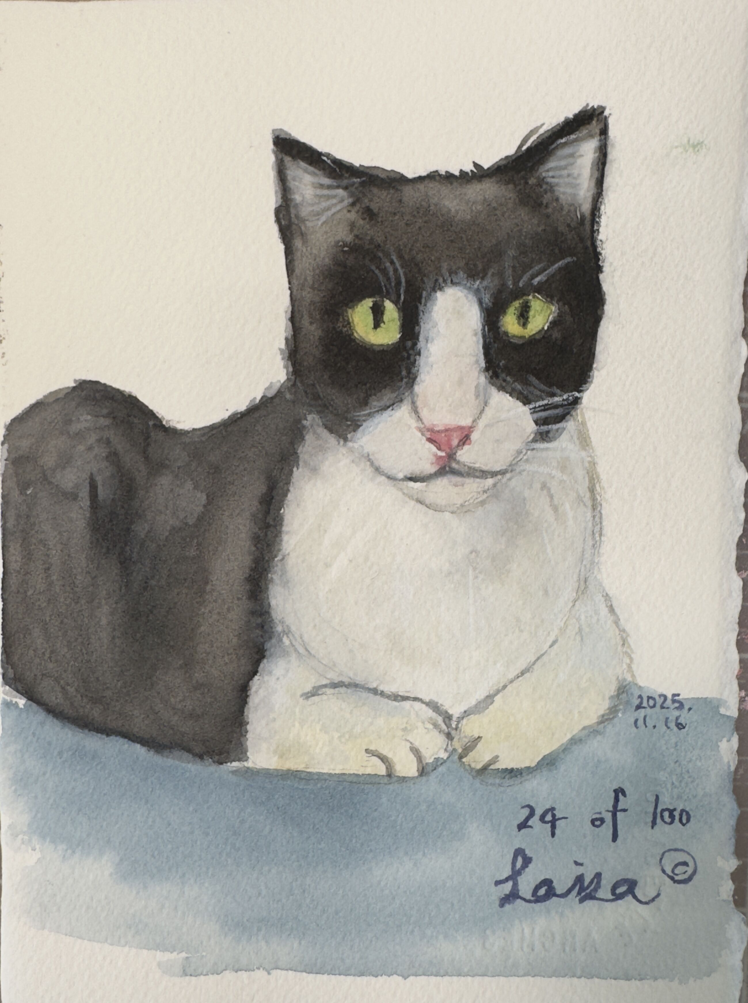 Tuxedo Cat - Standard